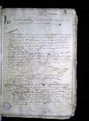 Discernimiento de la curaduria de la menor Ana de Oliva
