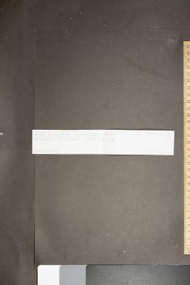 José Benito Lozano contra Luis María y Manuel Dolores Hurtado por heridas
