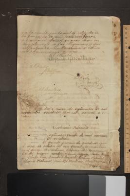 Soila V. de Ruiz contra Ricardo Arango, Eladio Pino, Ernesto Salazar, Victorino Benítez, Feliciano Palacios, Jesús María Martínez y Marcos Ocampo, por despojo de minas mediante posesión
