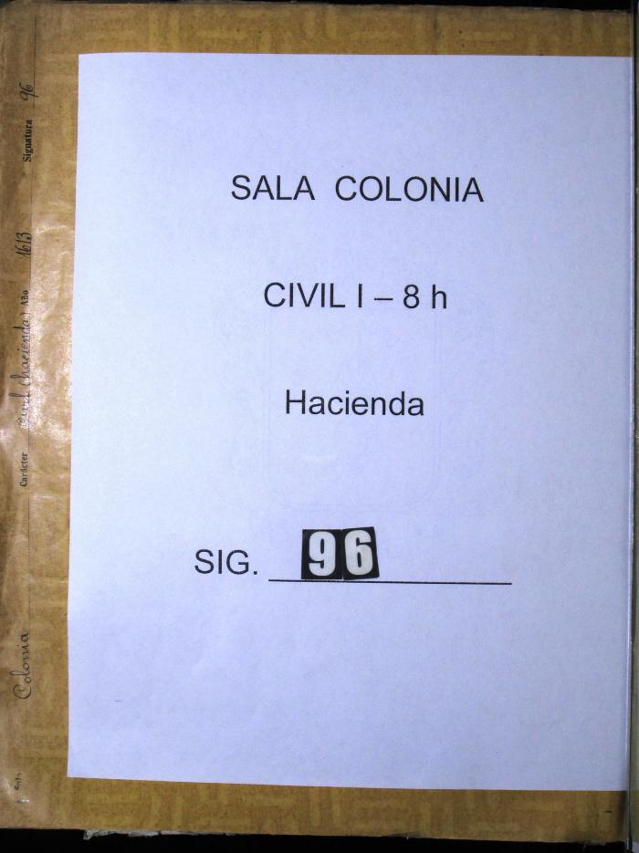 Testimonio dado por el escribano público Gabriel de Solarte…