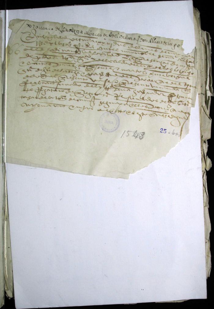 Probanza de Juan Ortiz