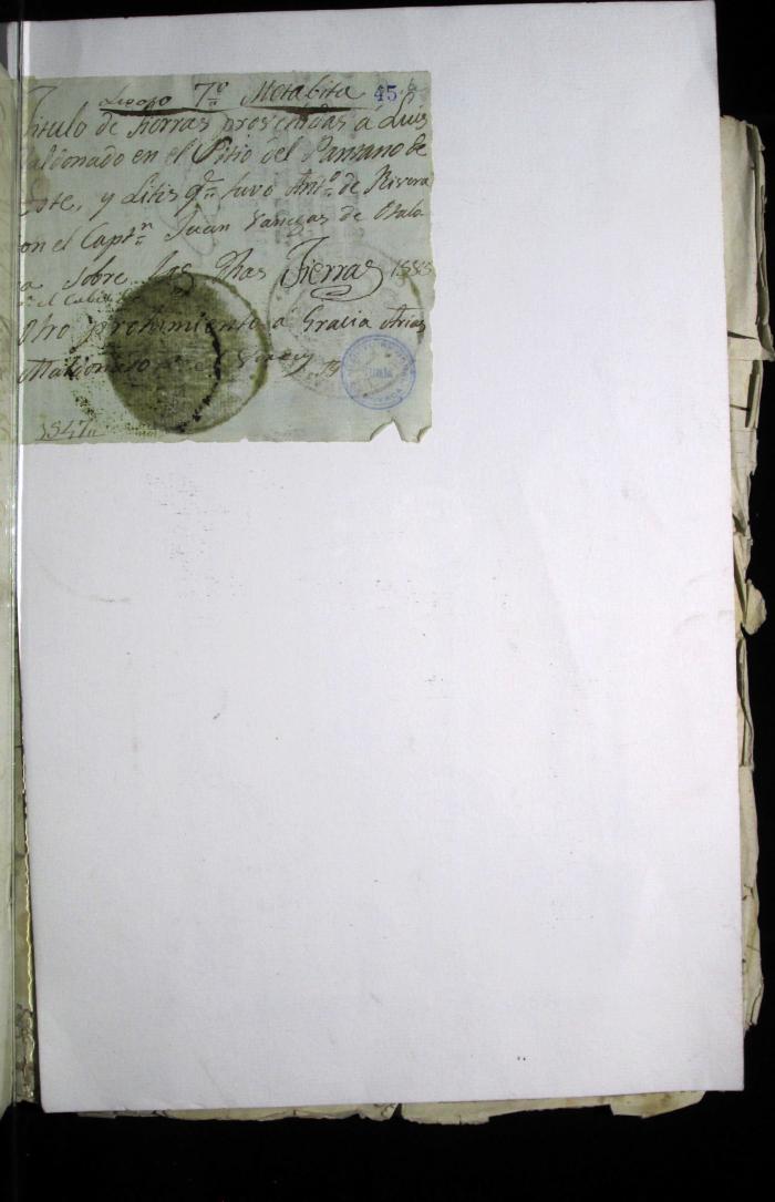 Título de tierras proveídas a Luis Maldonado y provimiento a Arias Maldonado